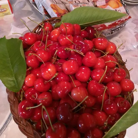 Hotel apartamentowy Raffaello Sassoferrato